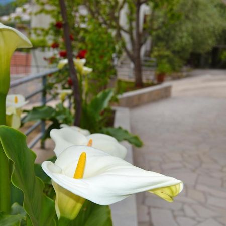 Tivat Apartments Eksteriør bilde