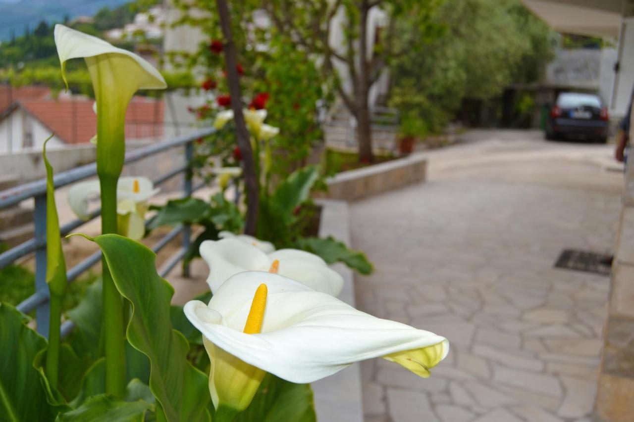 Tivat Apartments Eksteriør bilde